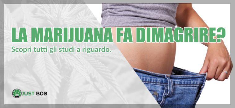 La Cannabis CBD fa realmente dimagrire?