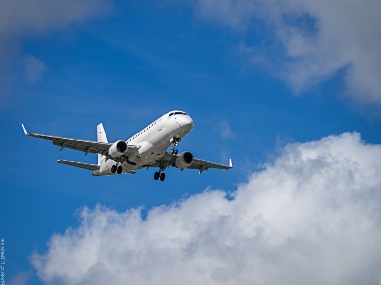 Inflorescences of legal weed and CBD oil on international flights