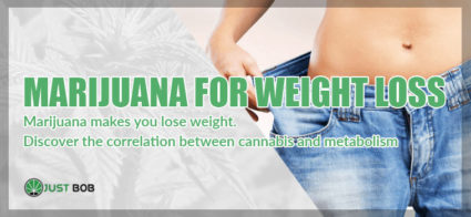 CBD Cannabis makes you lose weight