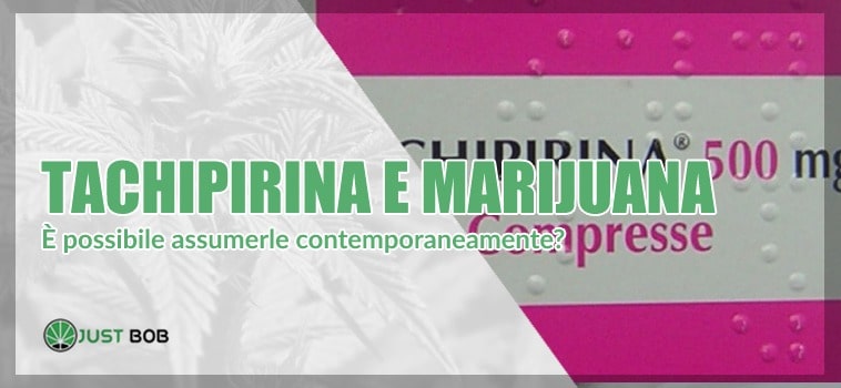 Si possono assumere contemporaneamente tachipirina e marihuana legale?