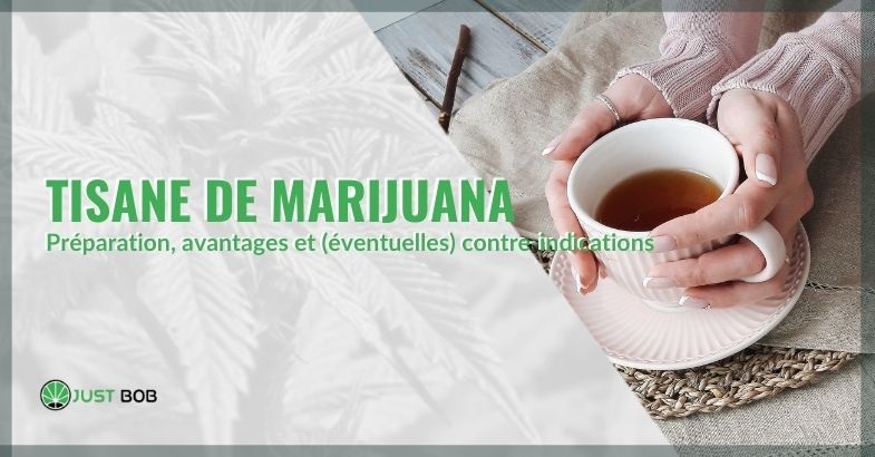 Tisane de Marijuana au cannabis CBD