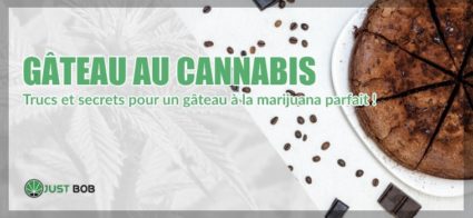 Gâteau au cannabis ? Ce que vous devez savoir