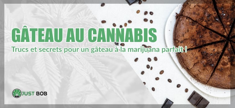 Gâteau au cannabis ? Ce que vous devez savoir