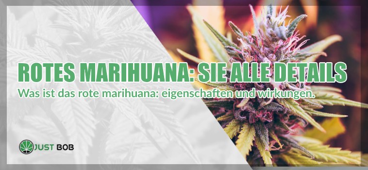Rotes Marihuana: Sie alle Details