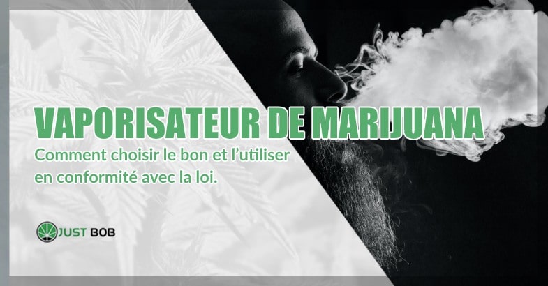 Vaporisateur de marijuana: comment choisir le bon