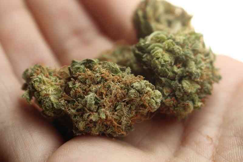 How to make your CBD Cannabis Tea