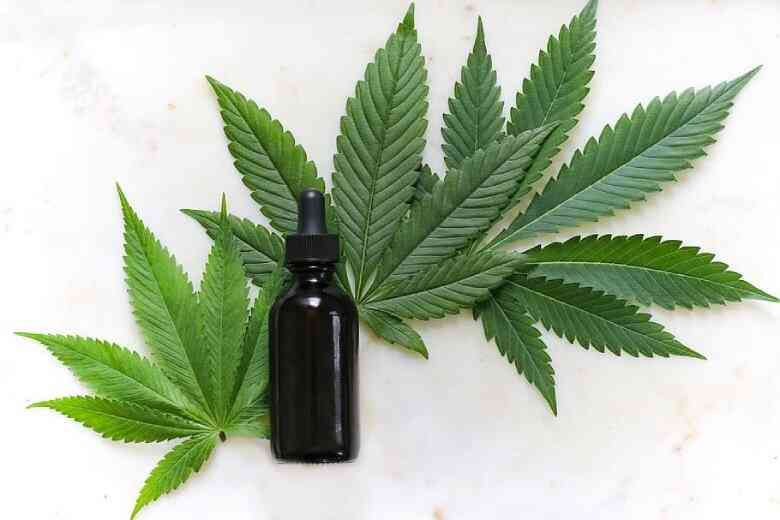 Inflorescences de cannabis CBD et d’huile de CBD sur les vols intérieurs en Suisse