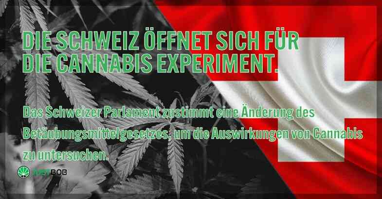 Die Schweiz öffnet sich für das Cannabis Experiment.
