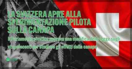 La Svizzera si apre all'esperimento della cannabis.