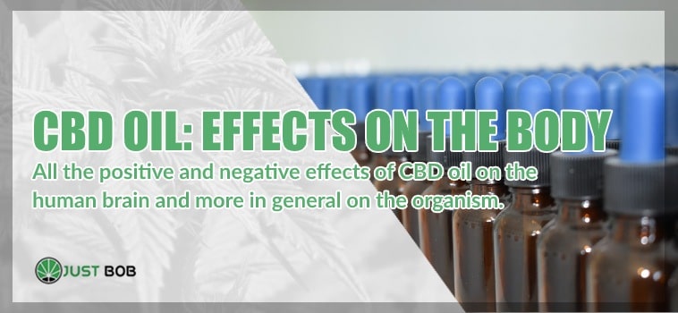 Cbd oil: effects on the body