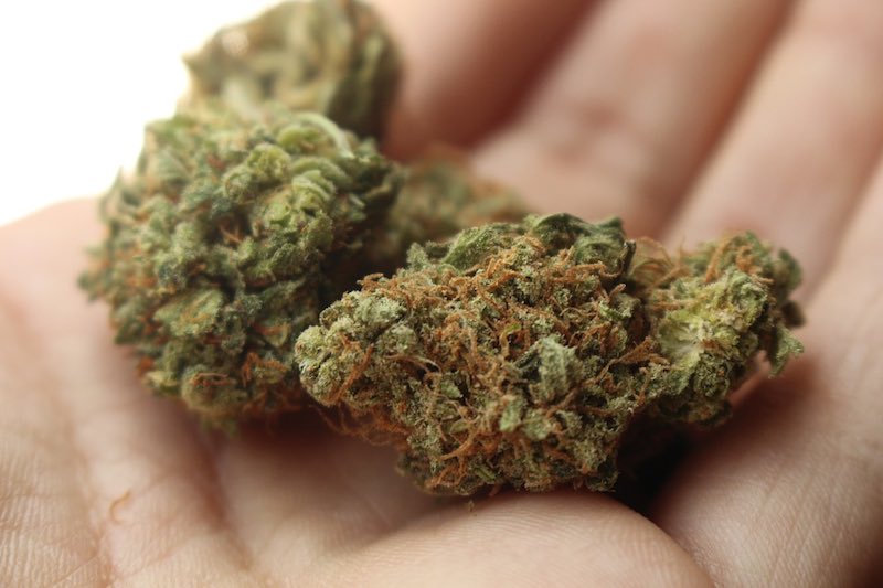 a study on passive smoke of cbd cannabis