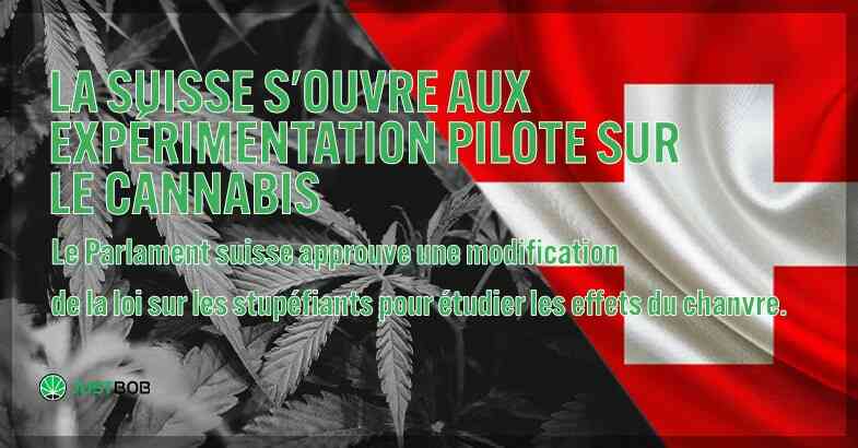 La Suisse s'ouvre à l'expérience du cannabis.