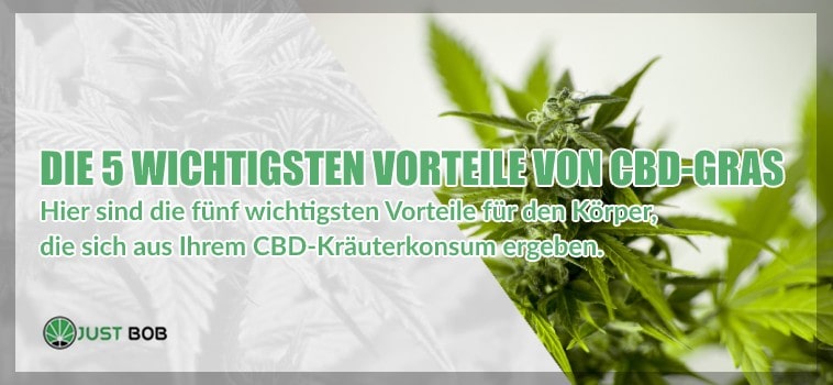 Die 5 wichtigsten Vorteile von CBD-Gras