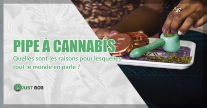 Pipe à cannabis : ce que vous devez savoir