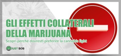 effetti-collaterali-marijuana Gli effetti collaterali della marijuana