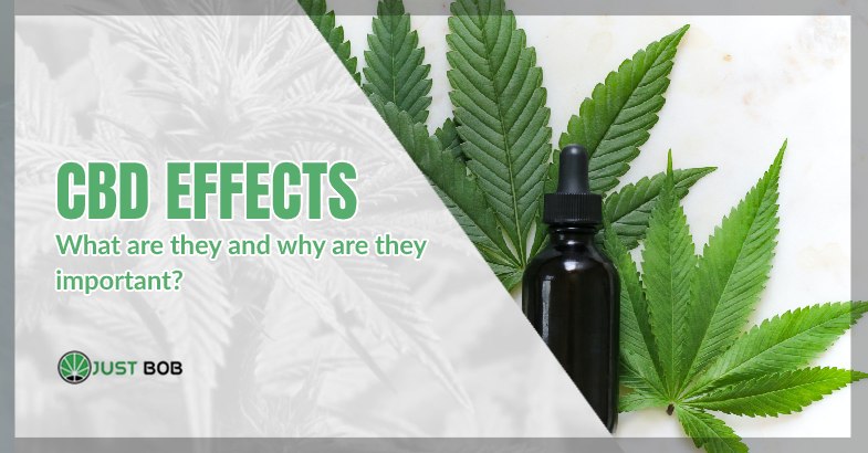 CBD effects: what are they?