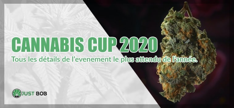 Le Cannabis cup 2020