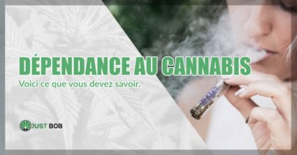 La dependence au cannabis