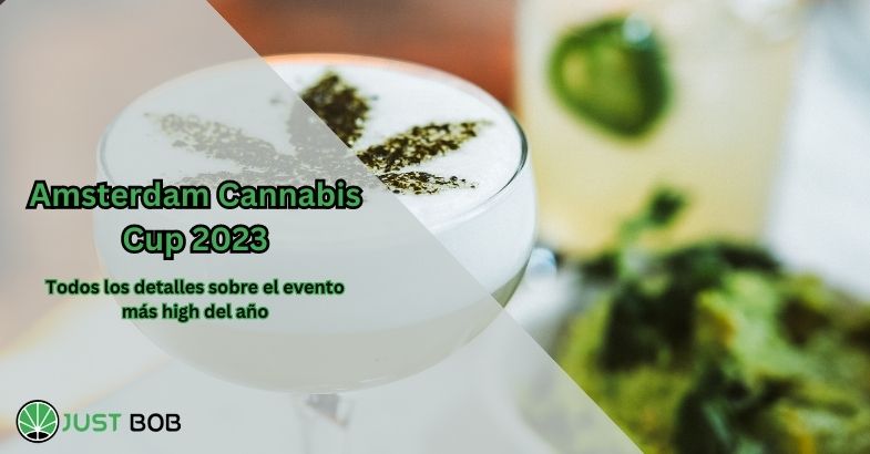 La cannabis Cup di Amsterdam