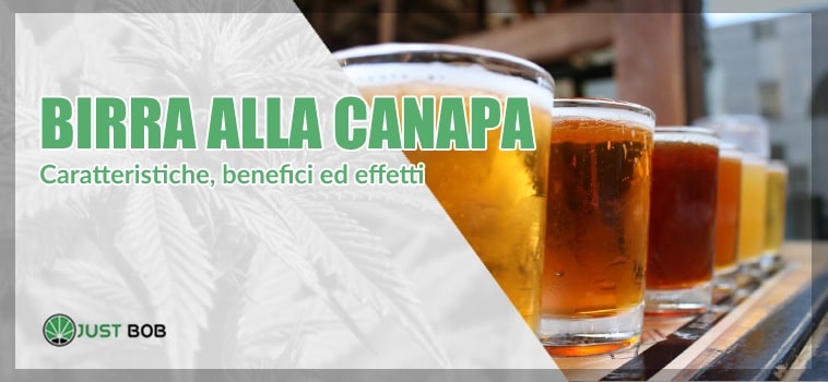 Birra alla canapa: di che si tratta?