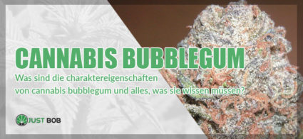Cannabis BubbleGum: Eigenschaften, Aromen und Wirkungen