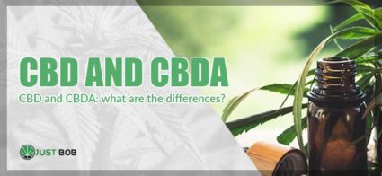 CBD and CBDA: what are the differences?