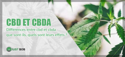 CBD et CBDA: quelles sont les différences?