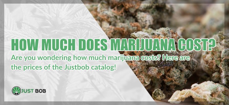 How much does marijuana cost?