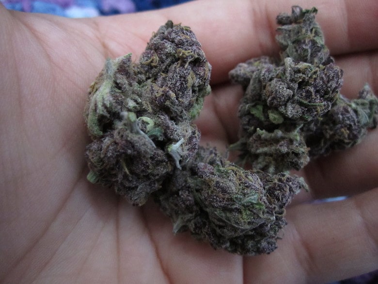 effetti della Purple cannabis legale