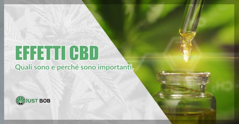 Effetti CBD: quali sono e perché sono importanti.