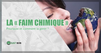 La faim chimique