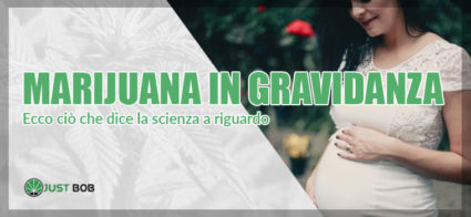 Marijuana--in-gravidanza