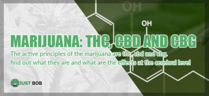 Marihuana: THC, CBD and CBG