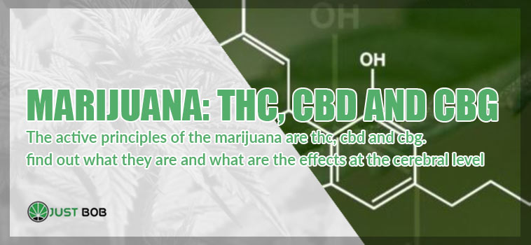 Marihuana: THC, CBD and CBG