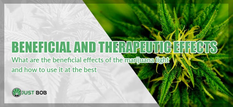 Marijuana: beneficial and therapeutic effects