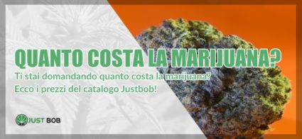 Quanto costa la marijuana?