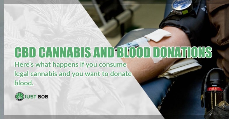 CBD Cannabis and voluntary blood donations