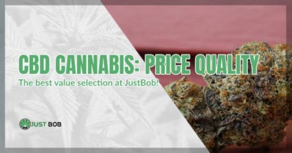 CBD cannabis: average price and top quality