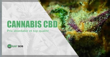 CBD-Cannabis: top qualité