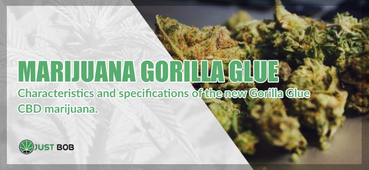 Marijuana Cannabis CBD