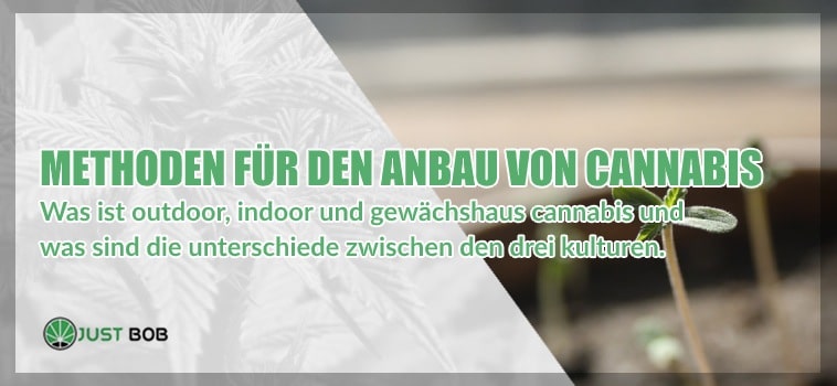 Methoden für den Anbau von Cannabis