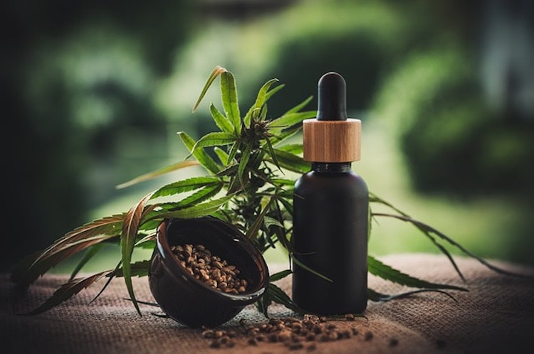 Perché utilizzare l’olio CBD?