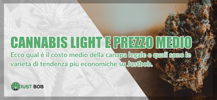 Cannabis light: prezzo medio e qualità