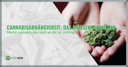 Cannabisabhängigkeit: Das müssen Sie wissen