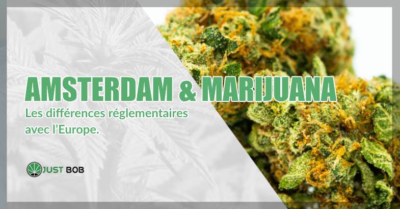 Sur Justbob, vous achetez du cannabis légal