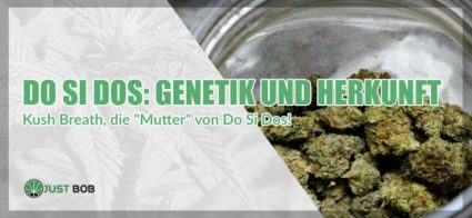 Do Si Dos: genetische Merkmale und Herkunft.