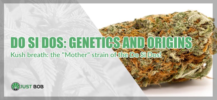 Do Si Dos: genetics and origins