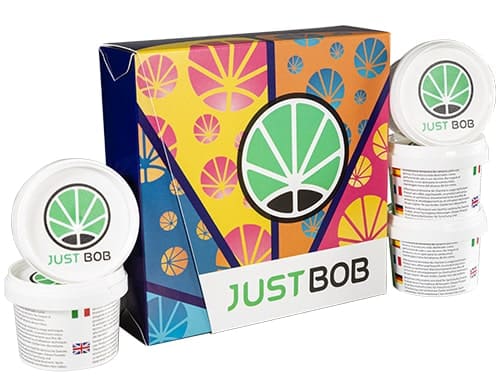 Kit Back2Work con 17g di infiorescenze di erba legale