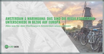 rechtliche unterschiede zwischen amsterdam und europa in bezug auf marihuana