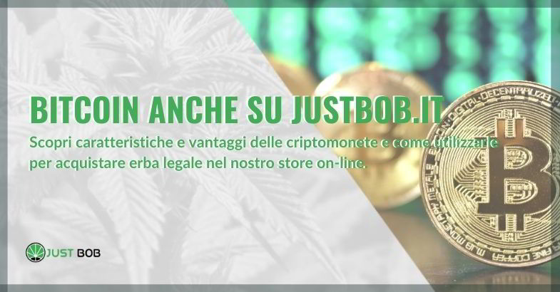 Bitcoin su Justbob per acquistare cannabis light
